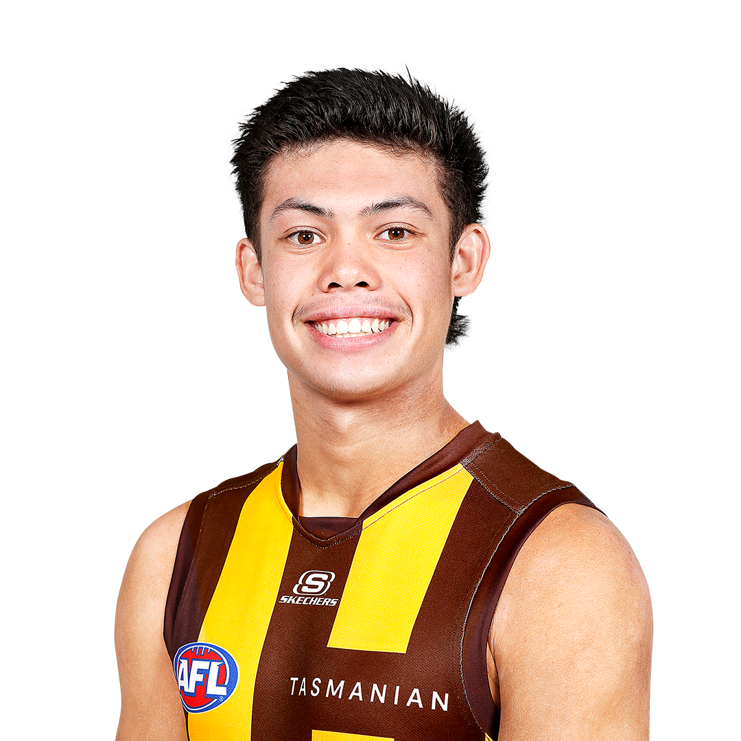 Hawthorn Hawks News AFL 2024 Zero Hanger